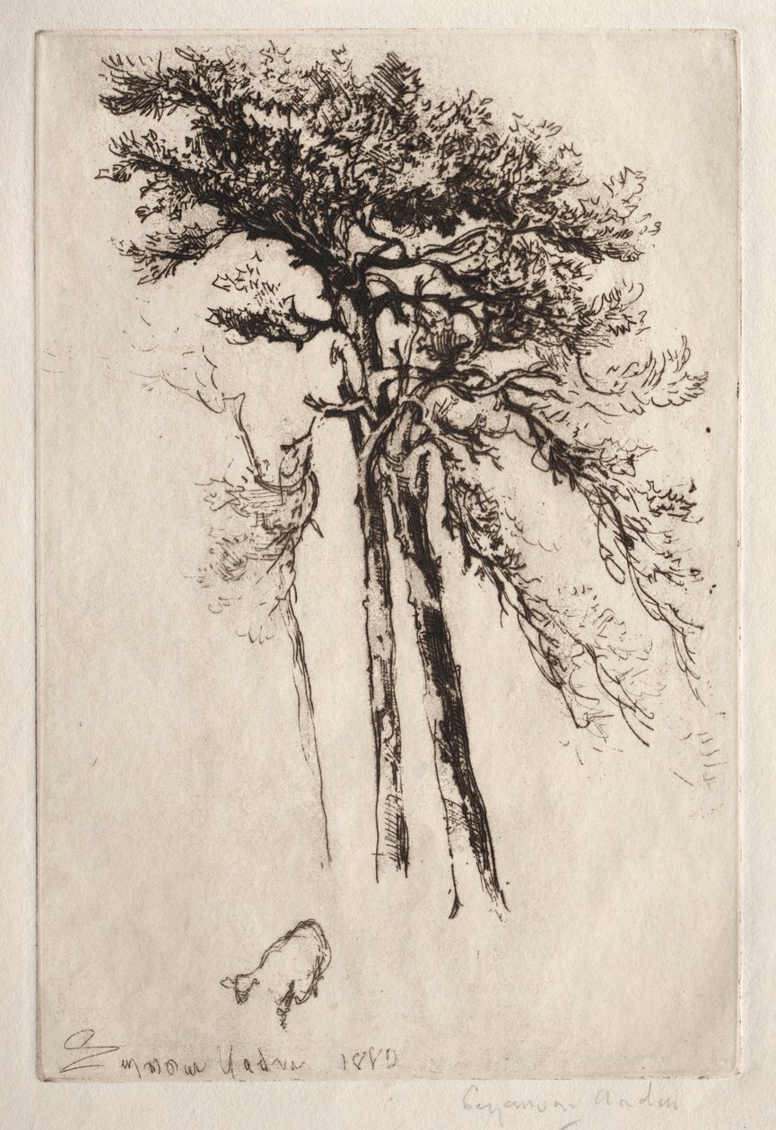 Der neueste Baum von Francis Seymour Haden