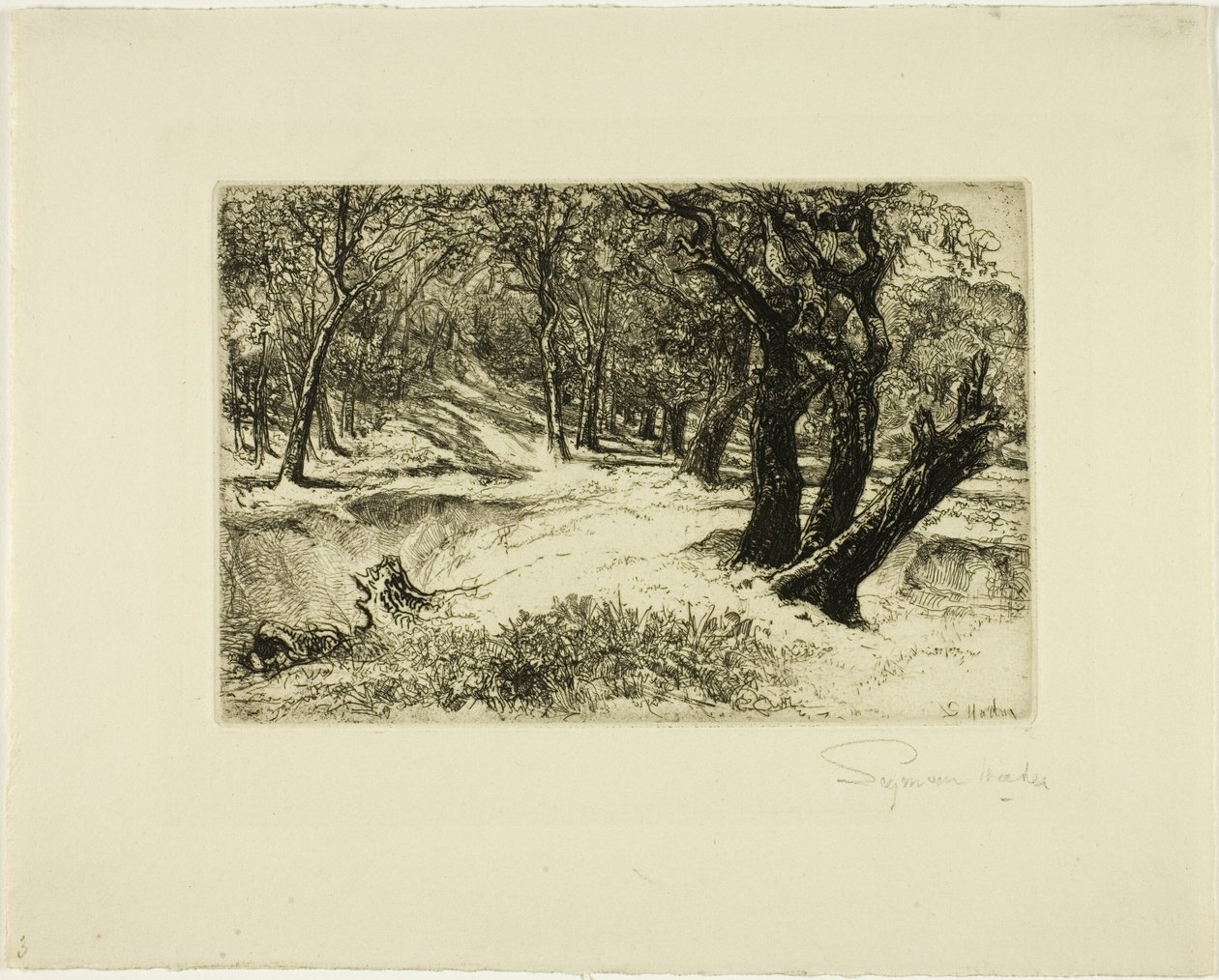 Die drei Schwestern von Francis Seymour Haden