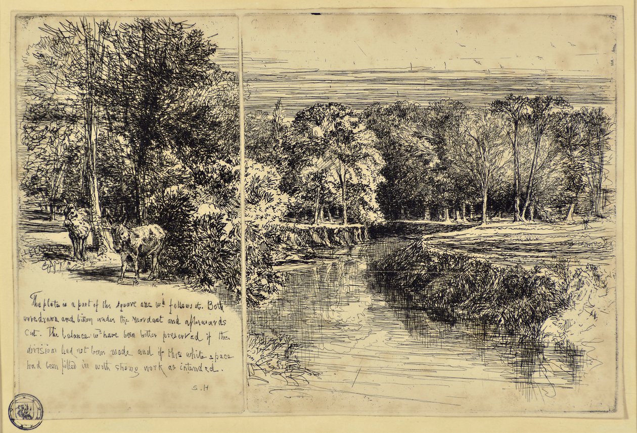 Die zwei Esel und der Dundrum-Fluss von Francis Seymour Haden