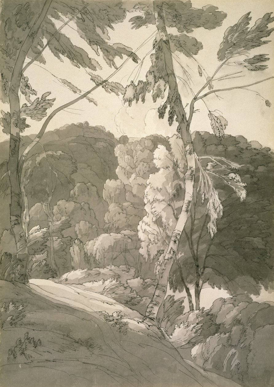 Nr. 1091 Eine bewaldete Landschaft (Eine Szene in Indinowle), 1783 von Francis Towne