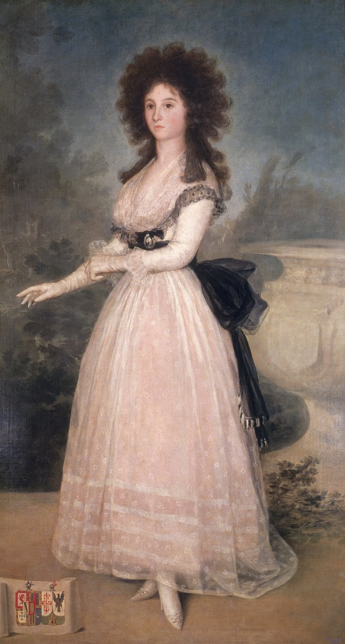 Dona Tadea Arias de Enriquez, 1793-94 von Francisco de Goya