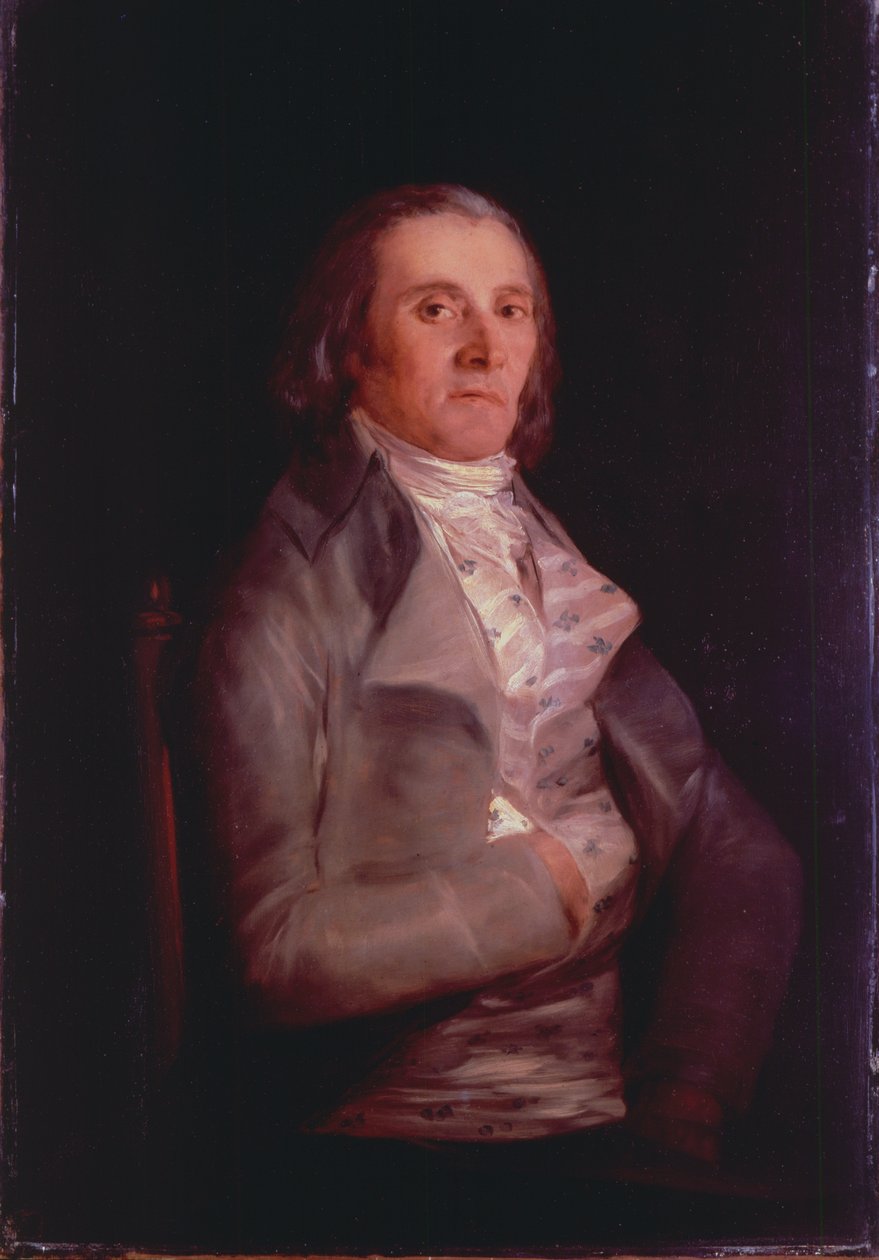 Don Andres del Peral, 1797-8 von Francisco de Goya