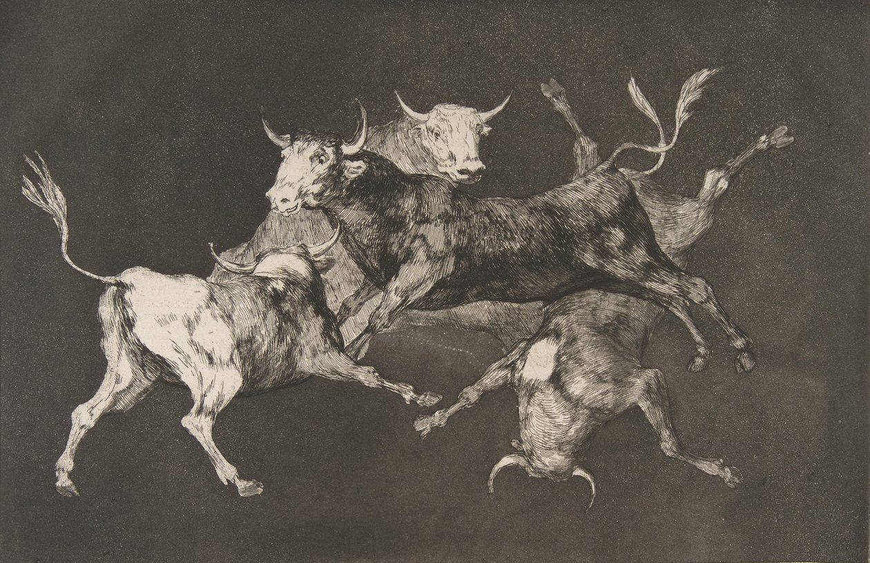 Platte D aus den Disparates: Narren- oder kleine Stiere - fo..., ca. 1816-23 veröffentlicht vor 1877 von Francisco de Goya