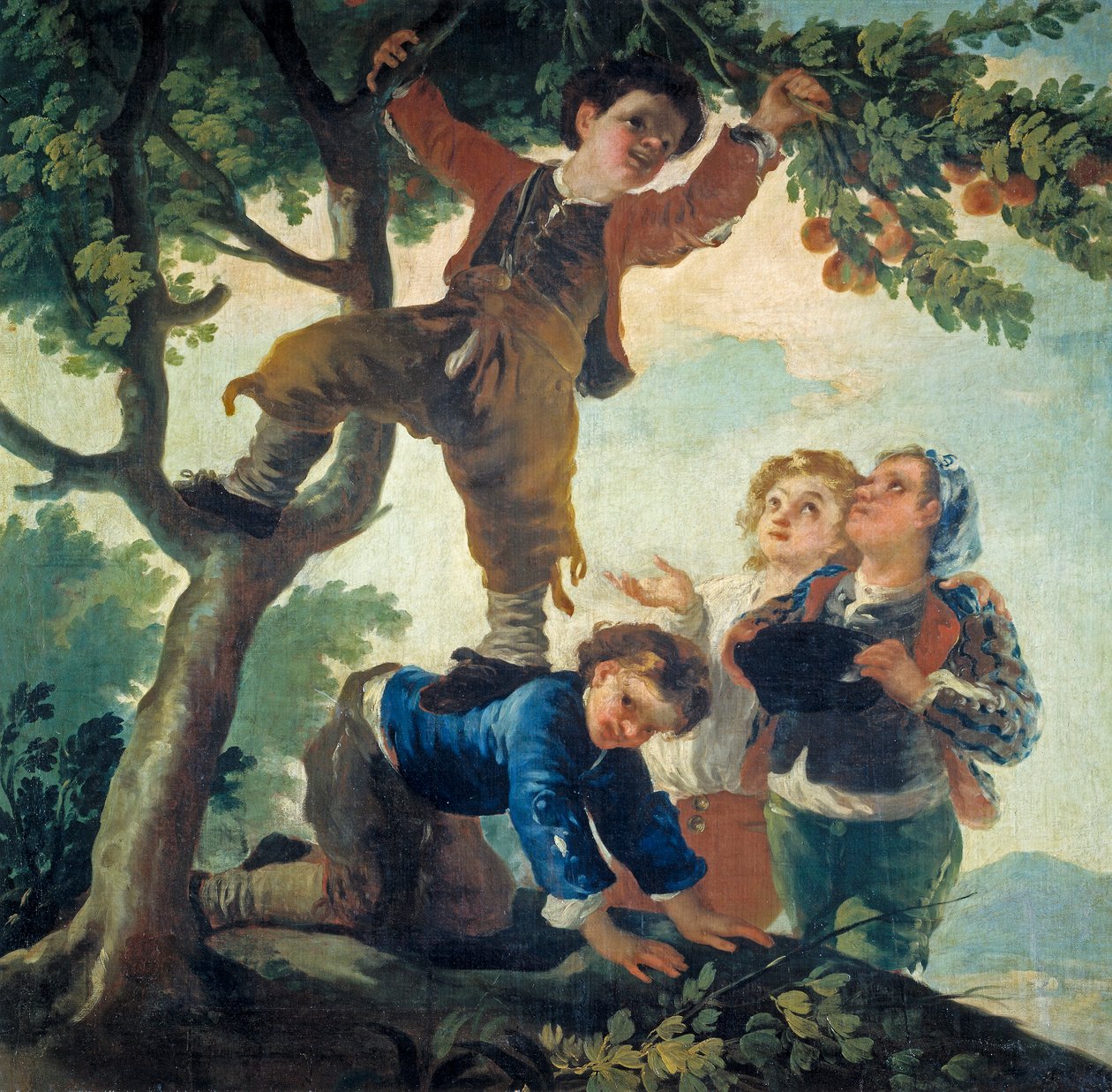 Jungen pflücken Obst von Francisco de Goya
