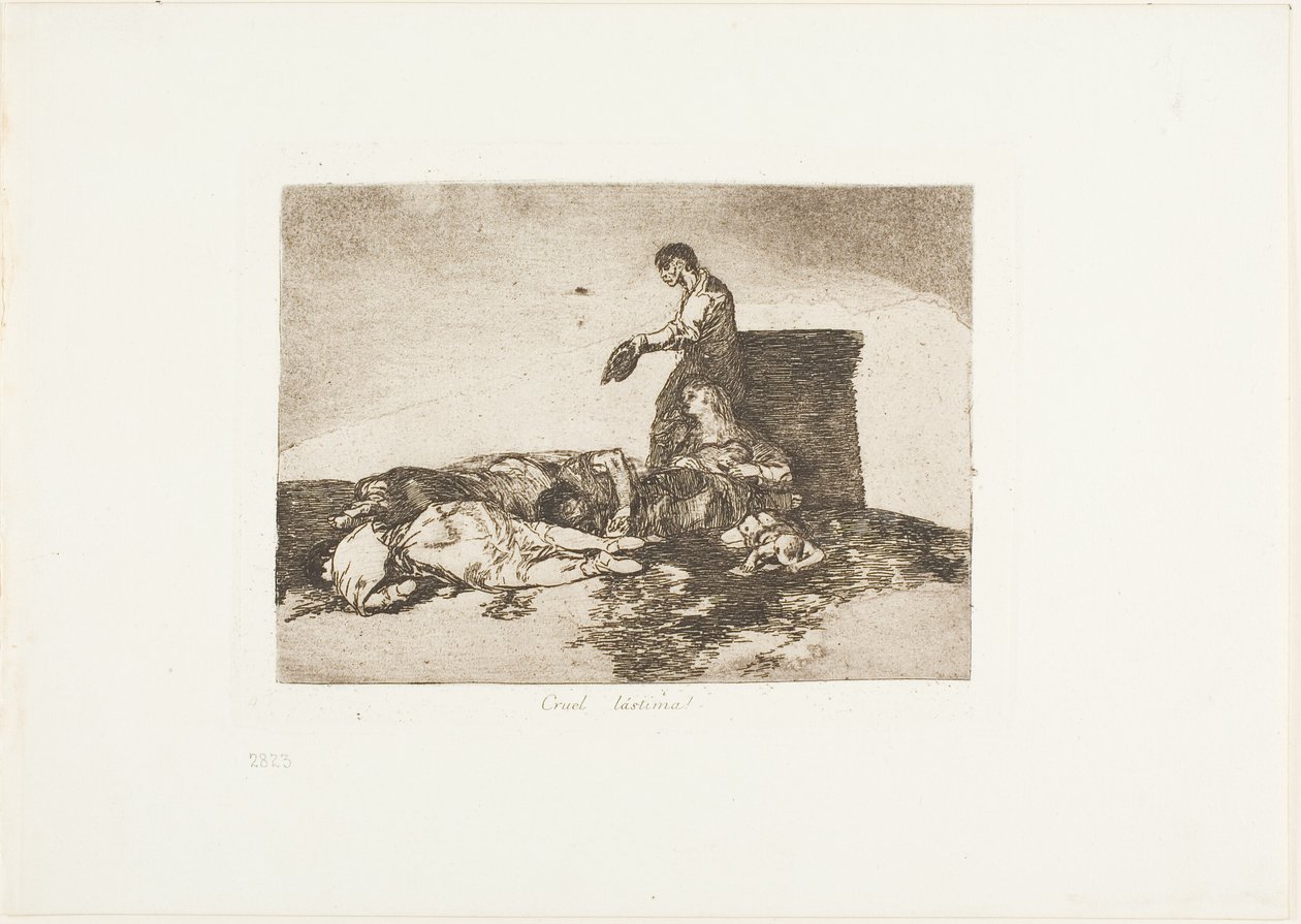 Grausame Leidensgeschichte!, Tafel 48 aus Die Schrecken des Krieges von Francisco Jose de Goya y Lucientes