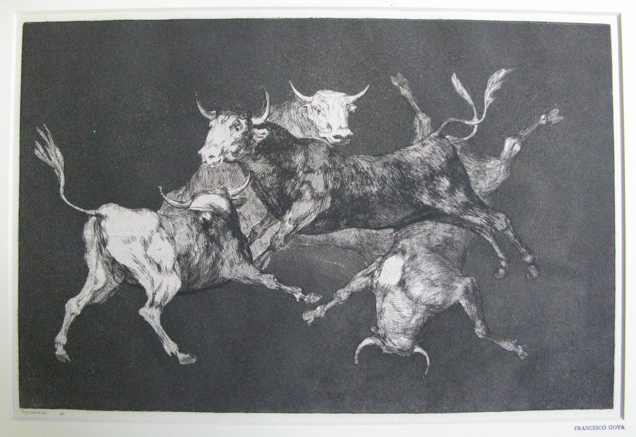 Disparate de tontos von Francisco Jose de Goya y Lucientes