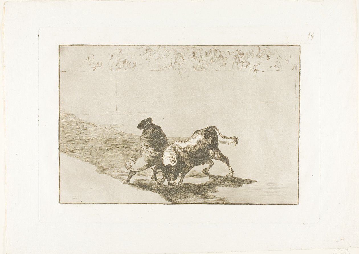 Der sehr geschickte Schüler von Falces, in seinen Umhang gehüllt, täuscht den Stier mit dem Spiel seines Körpers, Platte 14 aus Die Kunst des Stierkampfs von Francisco Jose de Goya y Lucientes