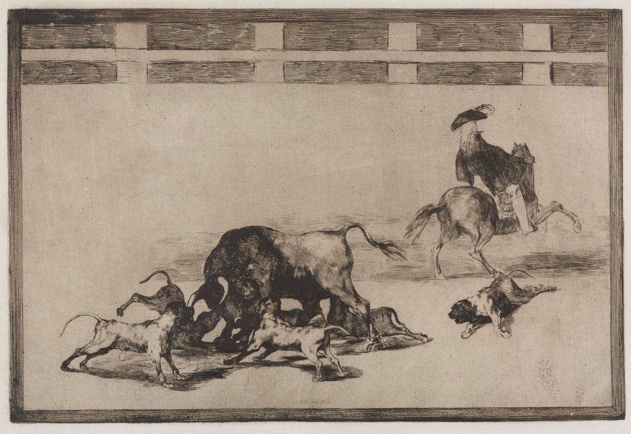 Stierkämpfe: Sie lassen Hunde auf den Stier los, 1876 von Francisco de Goya