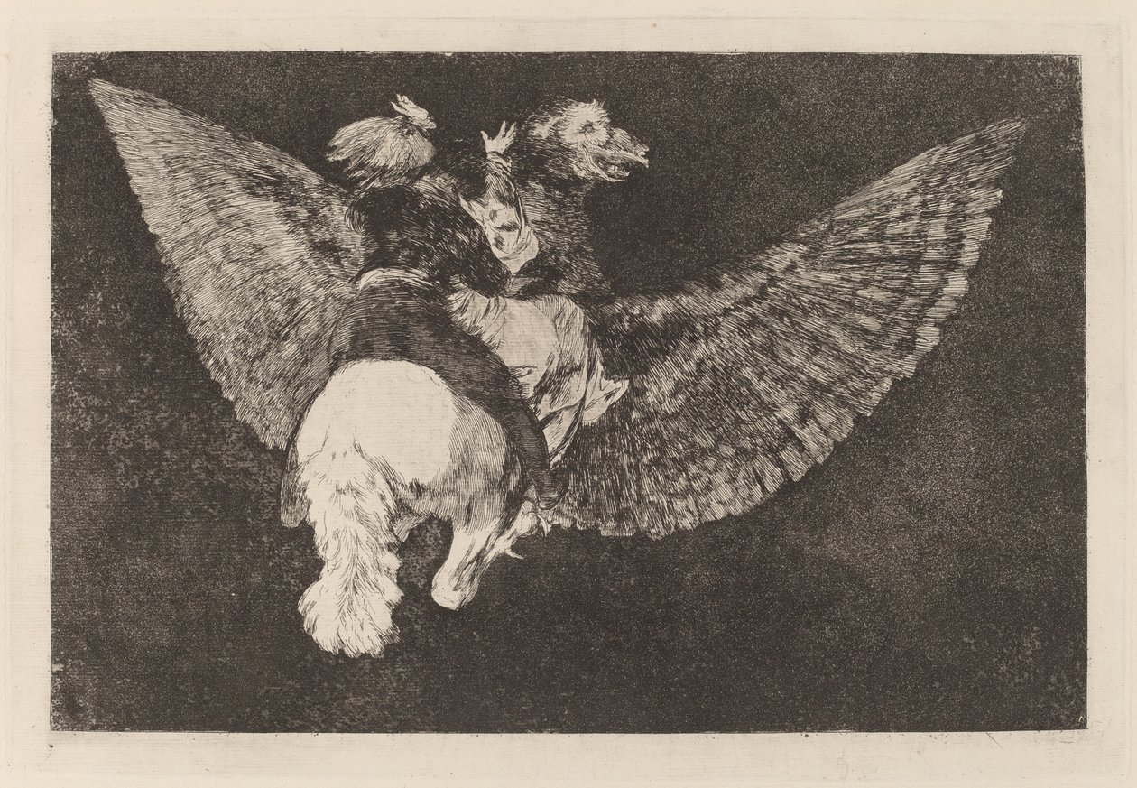 Fliegende Torheit von Francisco de Goya