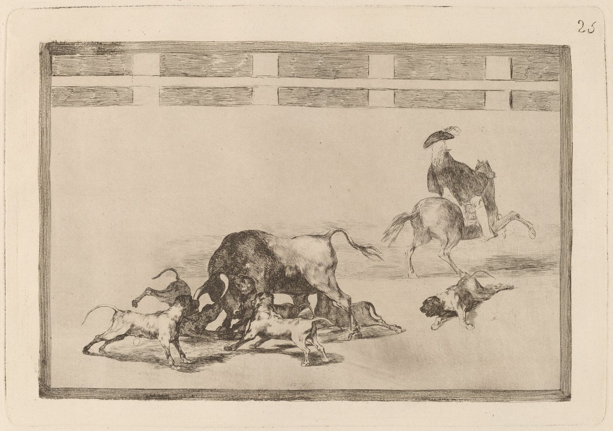 Sie lassen Hunde auf den Stier los von Francisco de Goya
