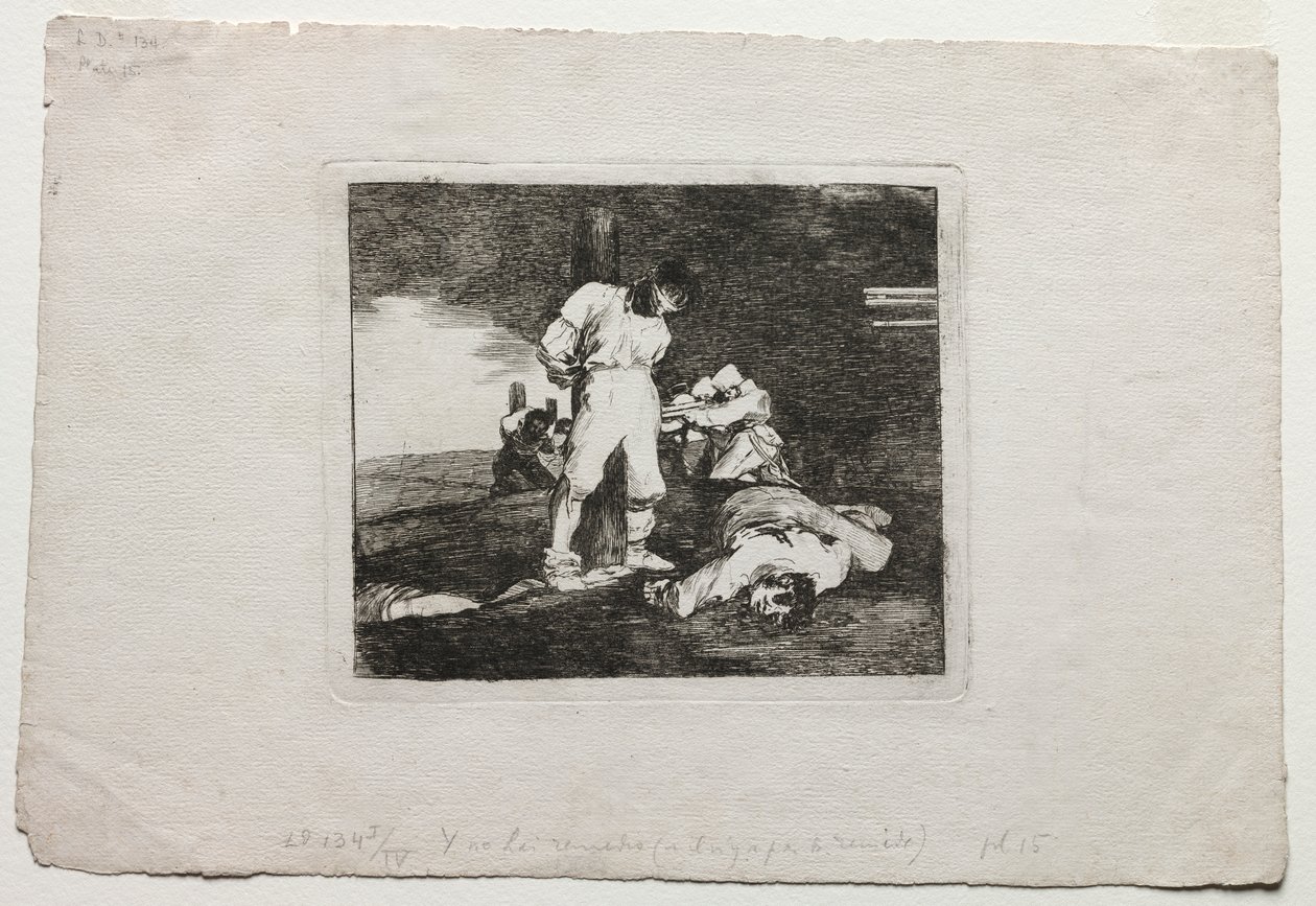 Die Schrecken des Krieges: Und es gibt keine Hilfe dafür von Francisco de Goya