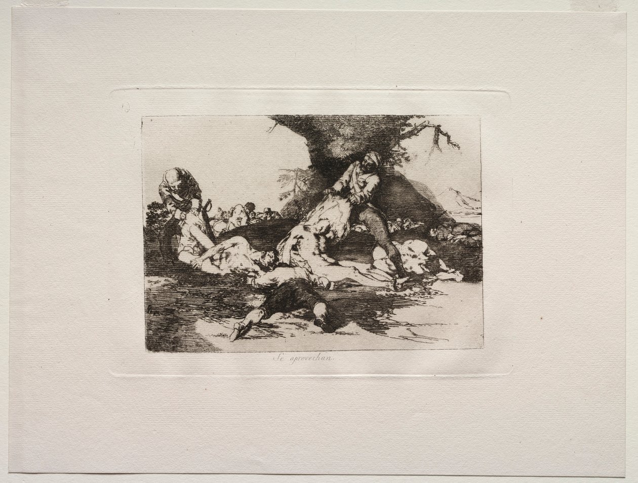 Die Schrecken des Krieges: Sie nutzen sie aus von Francisco de Goya