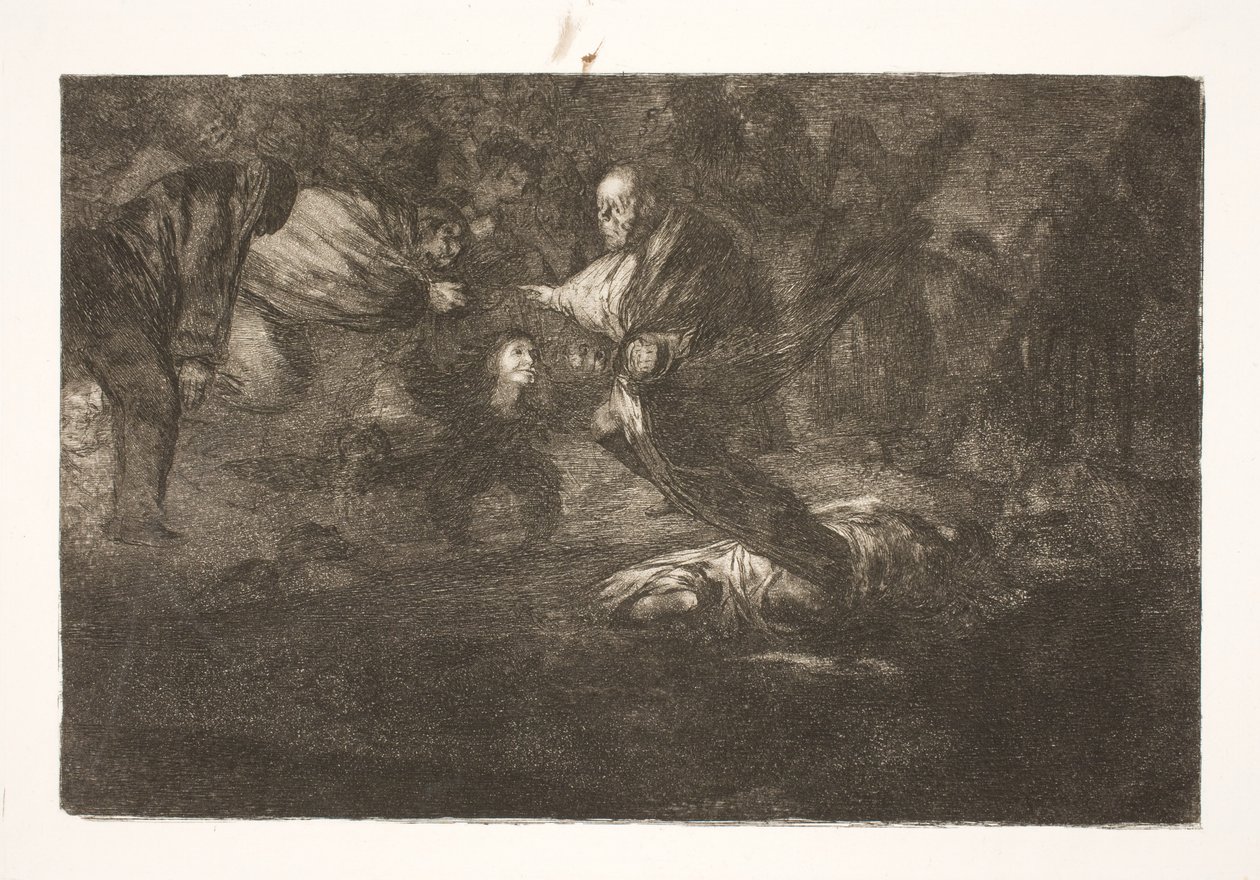 Der Herr erschafft sie, und sie enden in schöner Vereinigung / Vögel mit gleichen Federn fliegen zusammen von Francisco de Goya