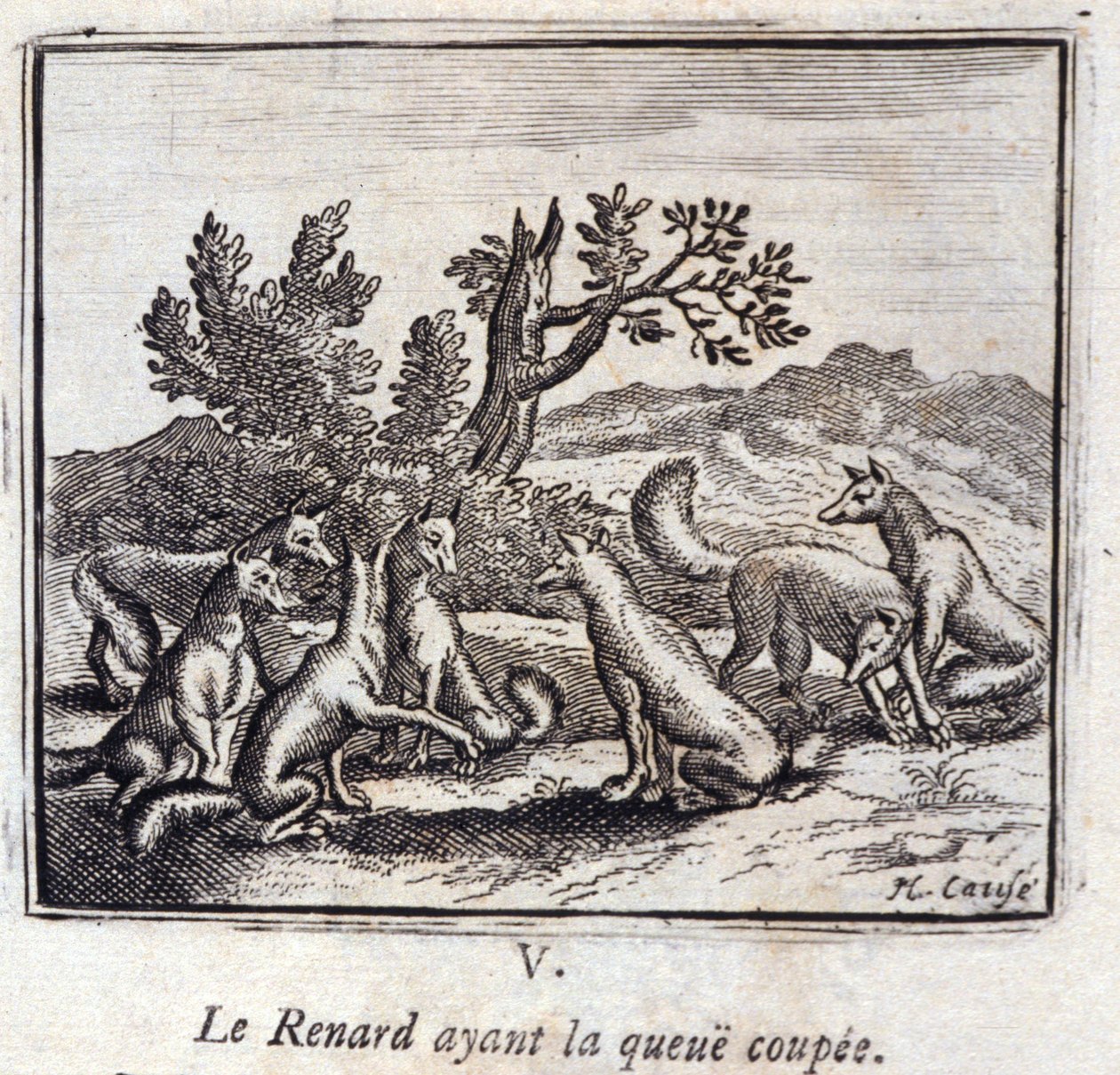 Illustration aus den 