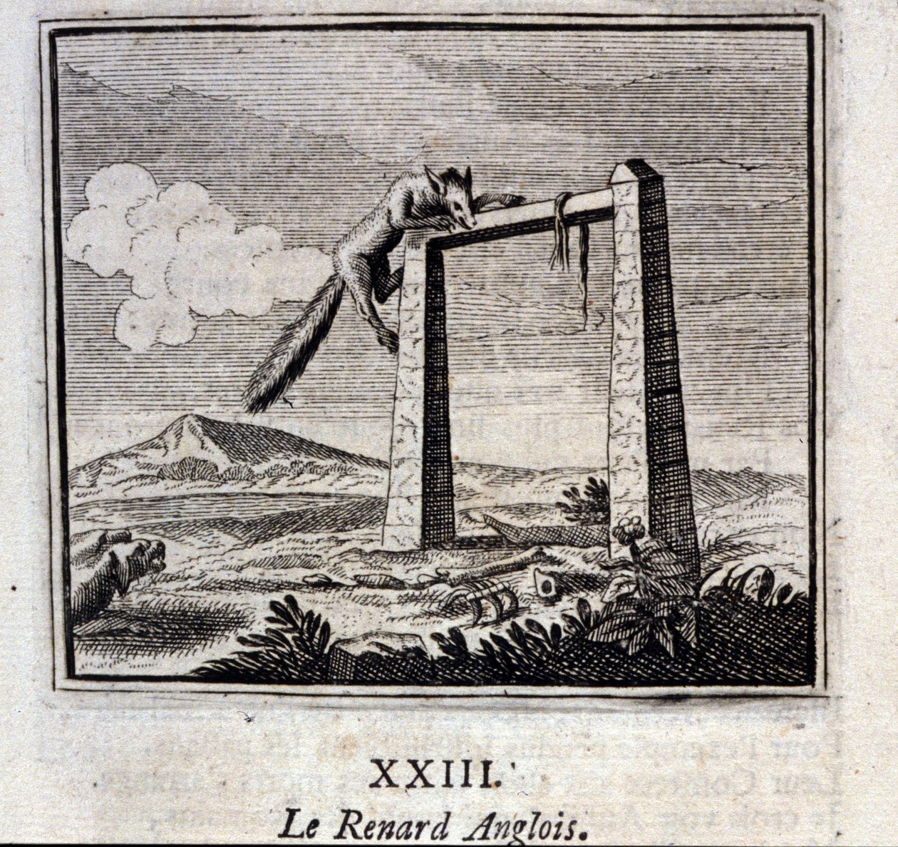 Der englische Fuchs. Fabeln von Jean de La Fontaine (1621-95). Illustration von François Chauveau (1613-1676). Ausgabe von 1728 von Francois Chauveau