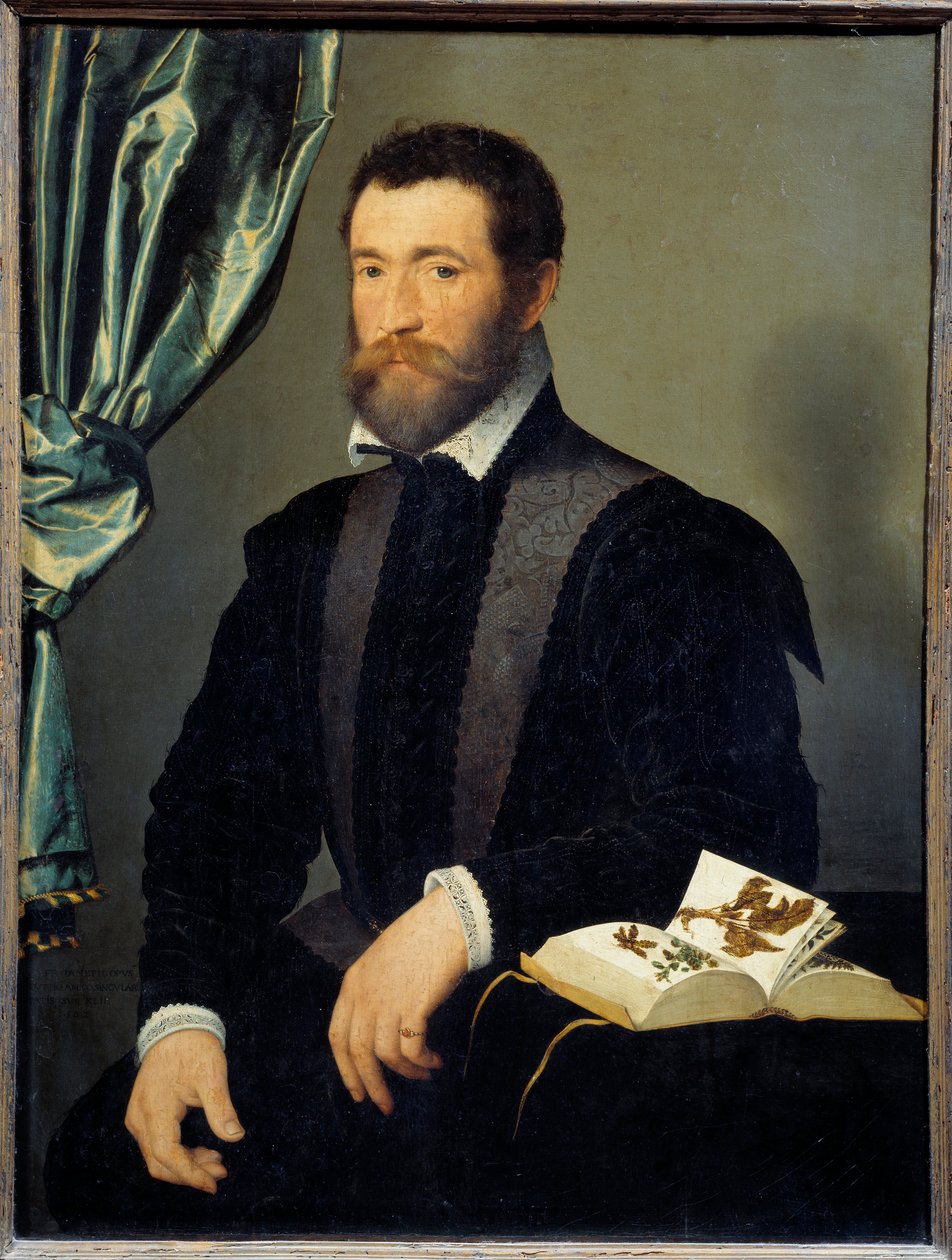 Porträt des Apothekers Pierre Quthe von François Clouet