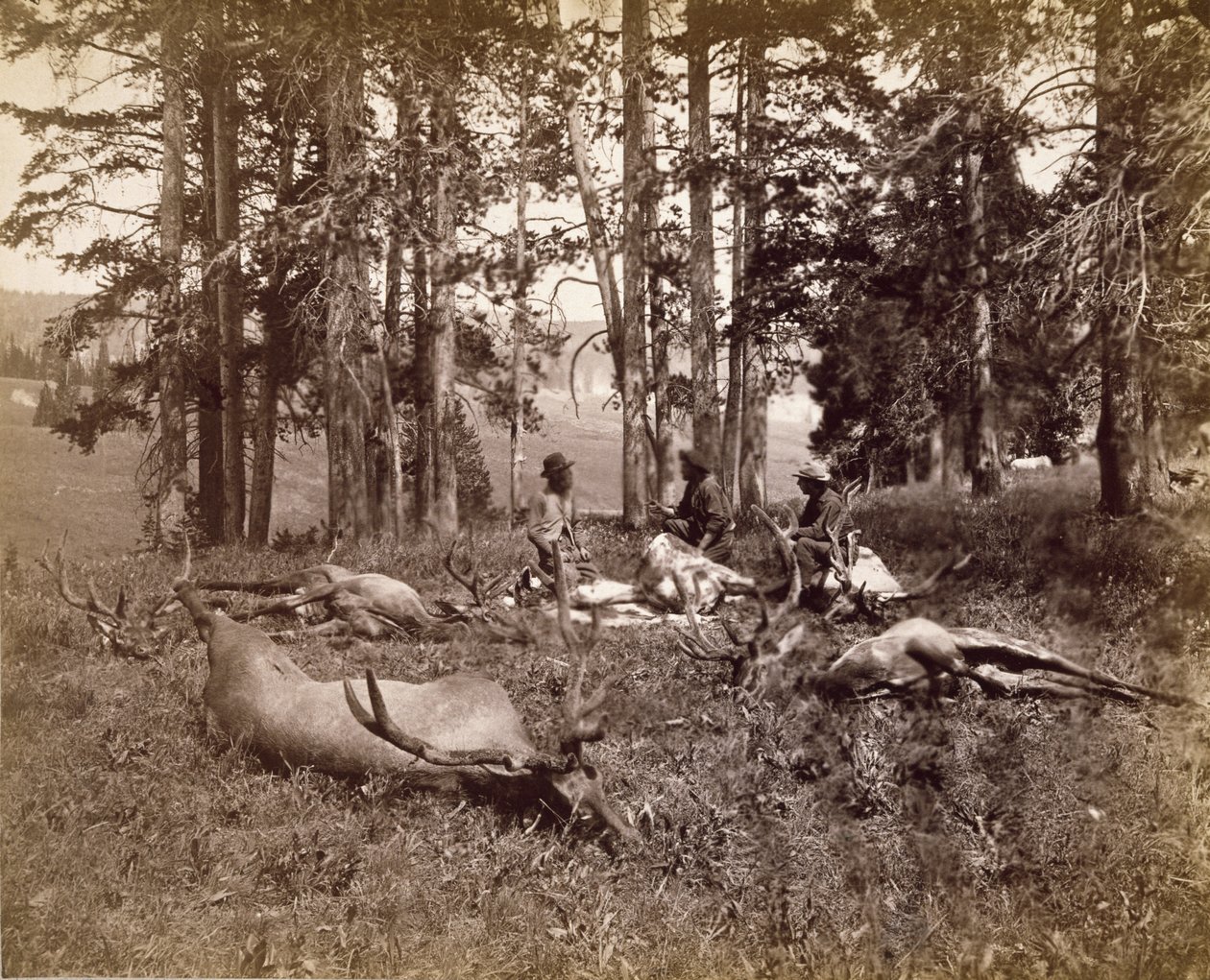Elchjäger, Yellowstone, ca. 1880 von Frank Jay Haynes