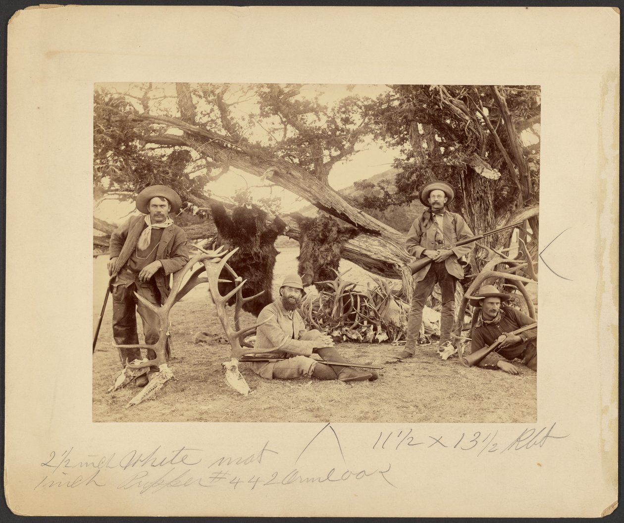 Lispenard Stewart Party, #6 - 5th Ave., N.Y. mit Trophäen am alten Zedernbaum, Mammoth Hot Springs, Yellowstone Nationalpark von Frank Jay Haynes