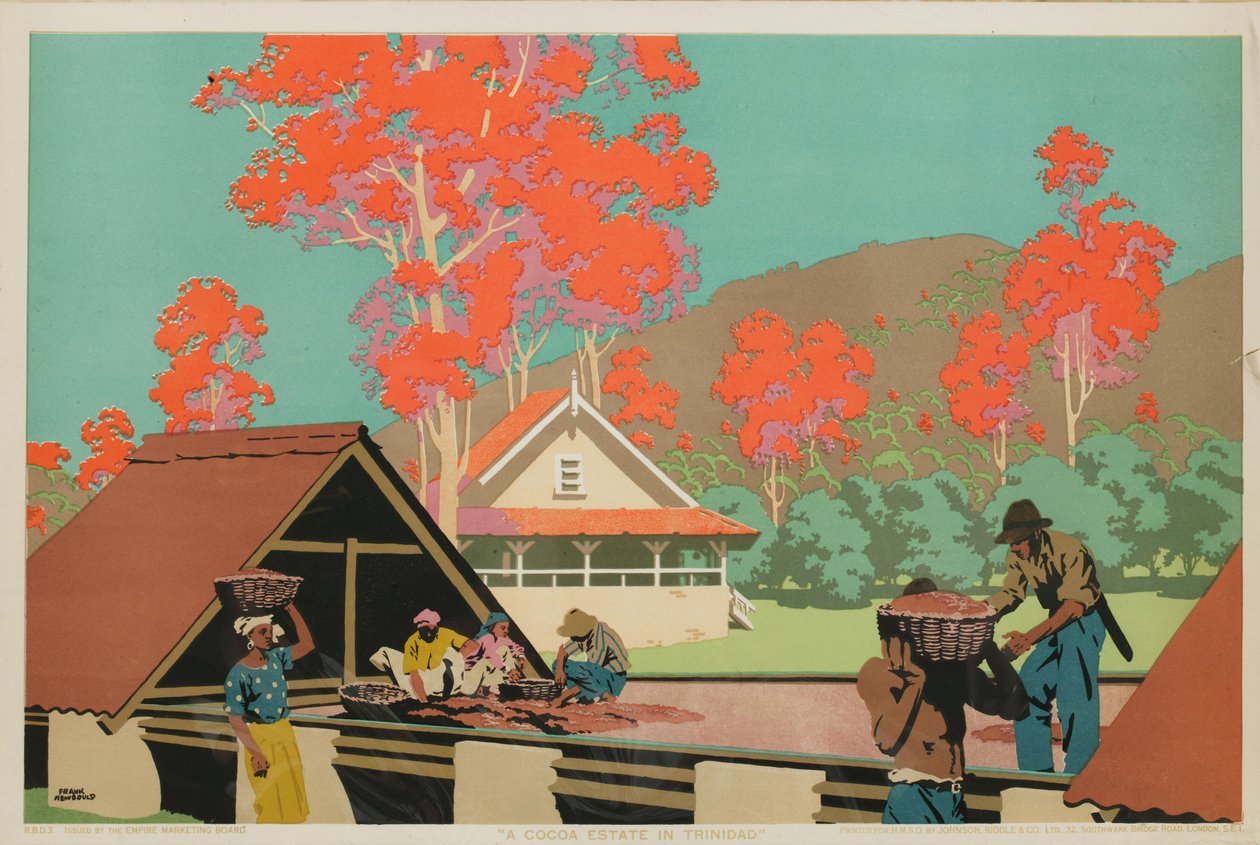 Eine Kakao-Plantage in Trinidad von Frank Newbould
