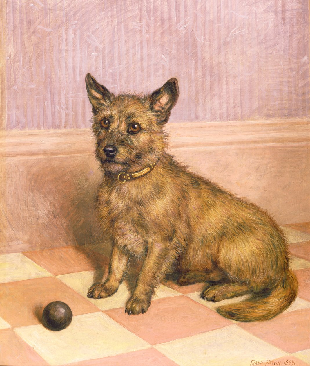 Warten auf das Spiel, ein Cairn Terrier mit einem Ball (Öl) von Frank Paton