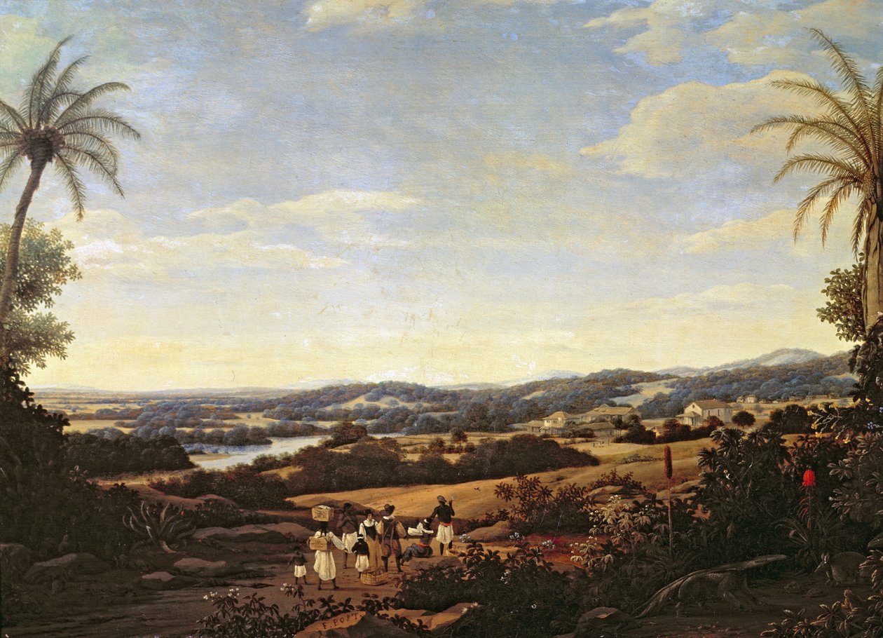 Brasilianische Landschaft mit einer Plantage von Frans Post