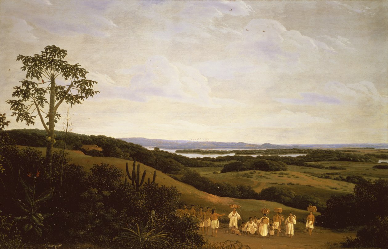 Panoramablick in Brasilien mit einem Fluss in der Ferne von Frans Post