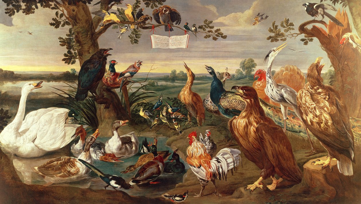 Verschiedene Vögel von Frans Snyders or Snijders