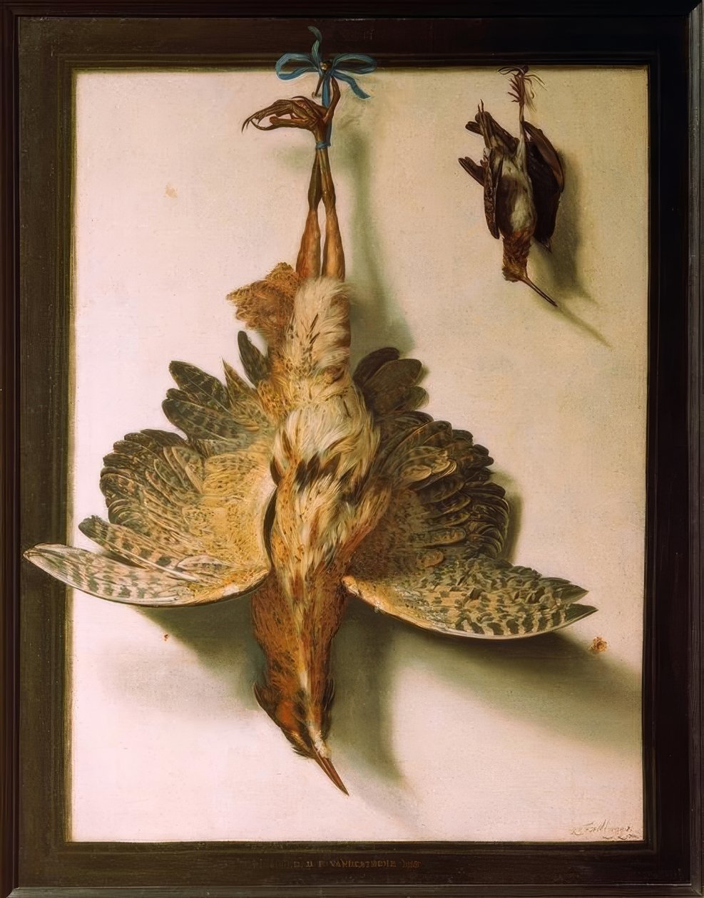 Trompe l’oeil mit toten Vögeln von Frans Cuyck van Meyerop