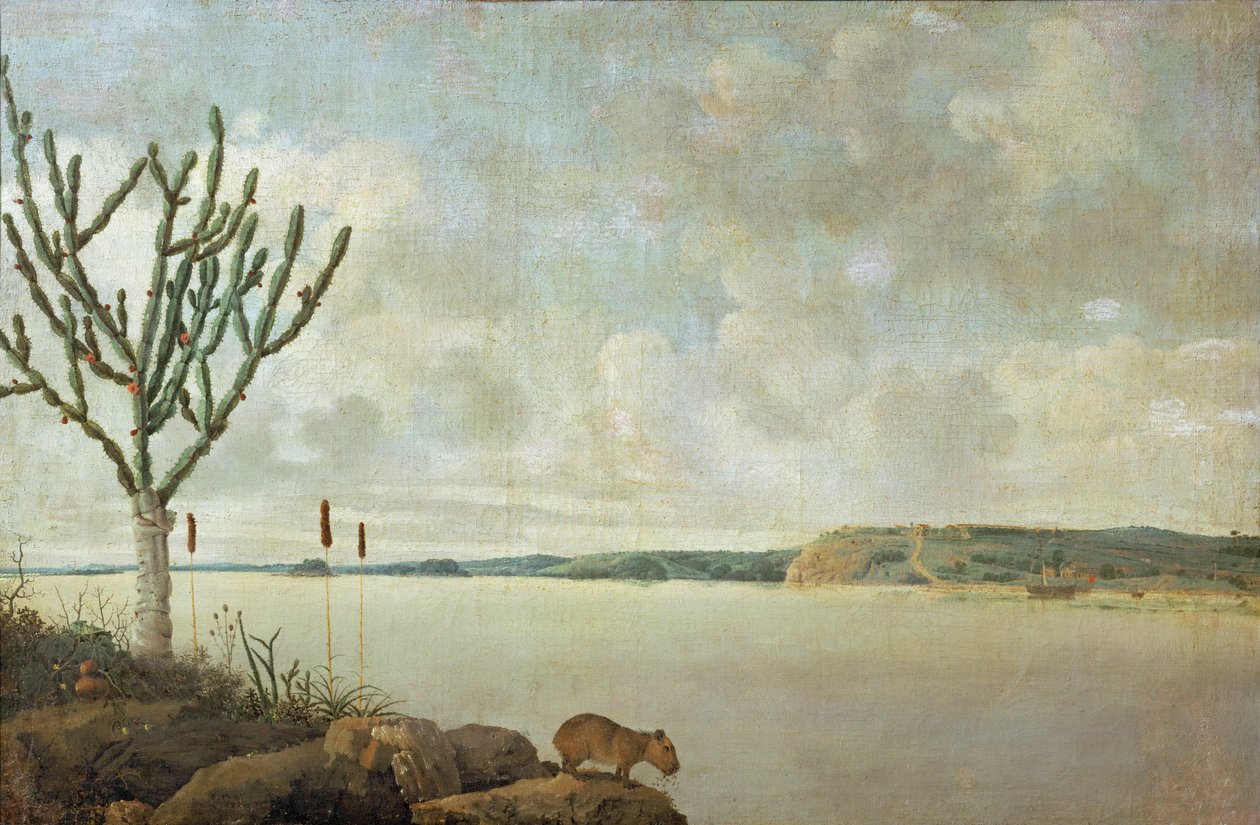 Der Rio Sao Francisco und das Fort Maurice, Brasilien von Frans Jansz Post