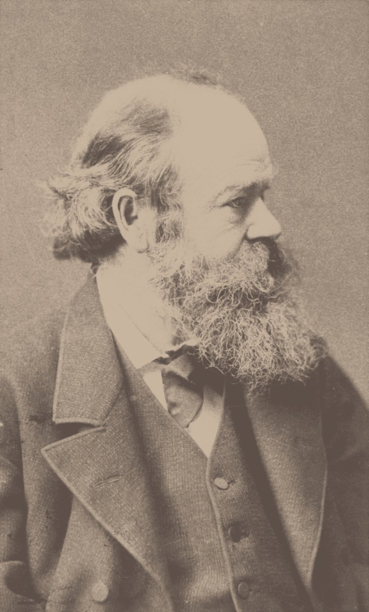 Porträt des Komponisten Robert von Hornstein 1833-1890 von Franz Hanfstaengl