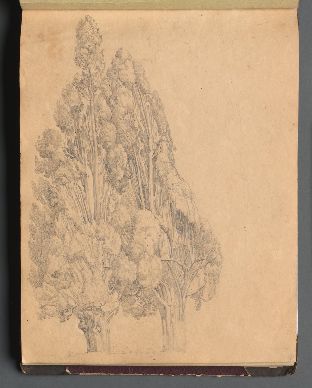 Album mit Ansichten von Rom und Umgebung, Landschaftsstudien, Seite 13a: Bäume von Franz Johann Heinrich Nadorp