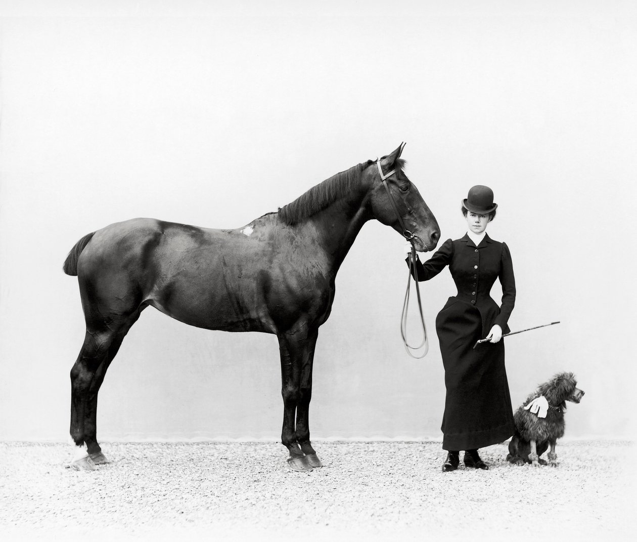 Porträt von Miss Walsh mit einem Pferd und einem Zwergpudel in der Villa di Montefonte, Poggio Imperiale, Florenz, um 1890 von Fratelli Alinari Fratelli Alinari