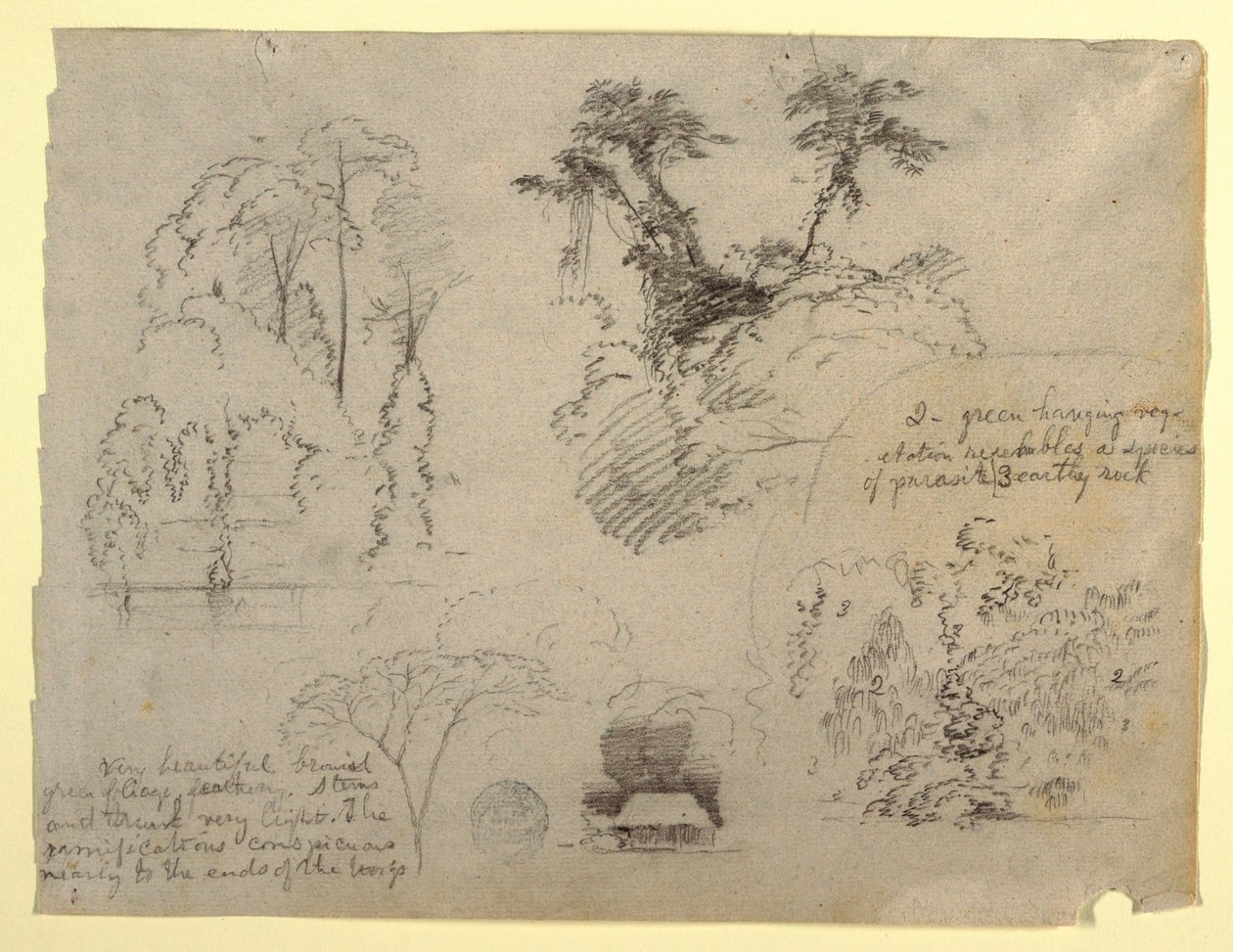 Botanische Studien und ein Haus, wahrscheinlich aus Kolumbien von Frederic Edwin Church