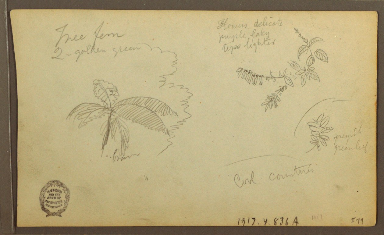 Zeichnung, Botanische Skizzen; Rückseite: Botanische Skizzen, 1857 von Frederic Edwin Church