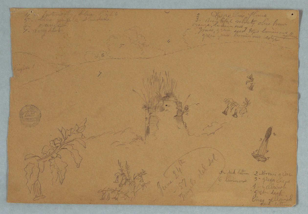 Zeichnung. Botanische und Wolkenskizzen in der Nähe von Quito, Ecuador von Frederic Edwin Church