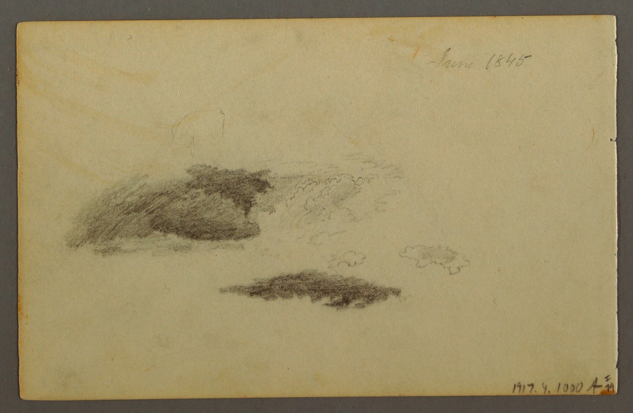 Zeichnung, Verfallene Birke, 1844 von Frederic Edwin Church