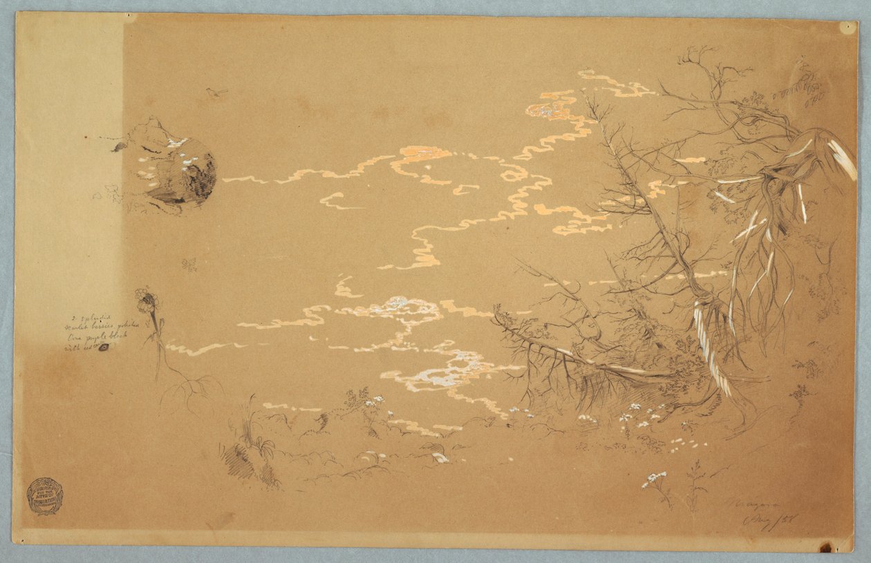 Detailansicht des Randes der kanadischen Bank, August 1858 von Frederic Edwin Church
