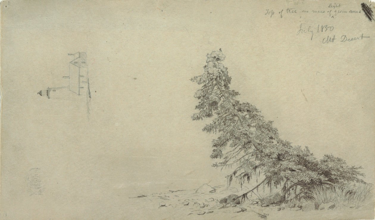 Zeichnung, Immergrüner Baum in der Nähe der Küste mit einem Detail des Leuchtturms und eines Hauses, Mount Desert, Maine, Juli 1850 von Frederic Edwin Church