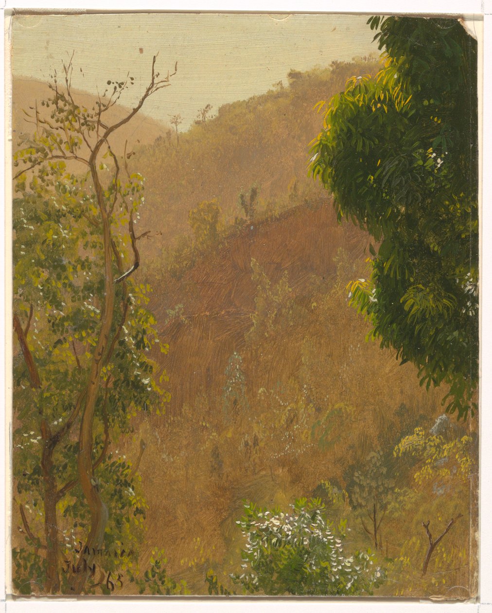 Zeichnung, Landschaft, Juli 1865 von Frederic Edwin Church