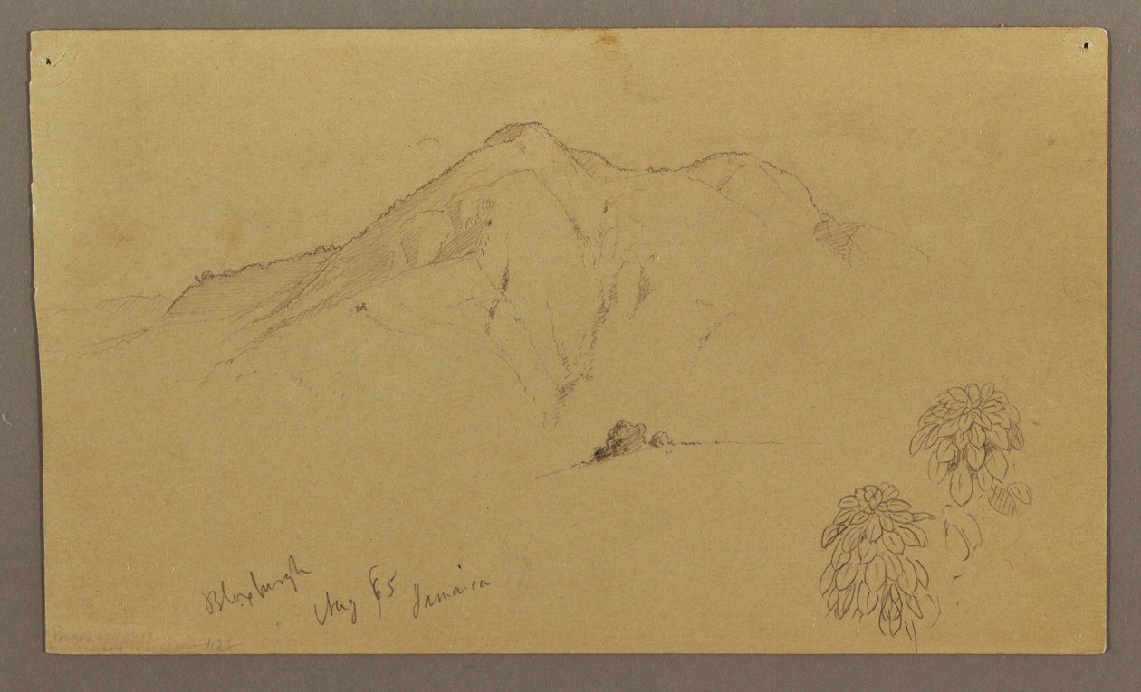 Zeichnung, Landschaft, Pflanzen, Bloxburgh, August 1865 von Frederic Edwin Church