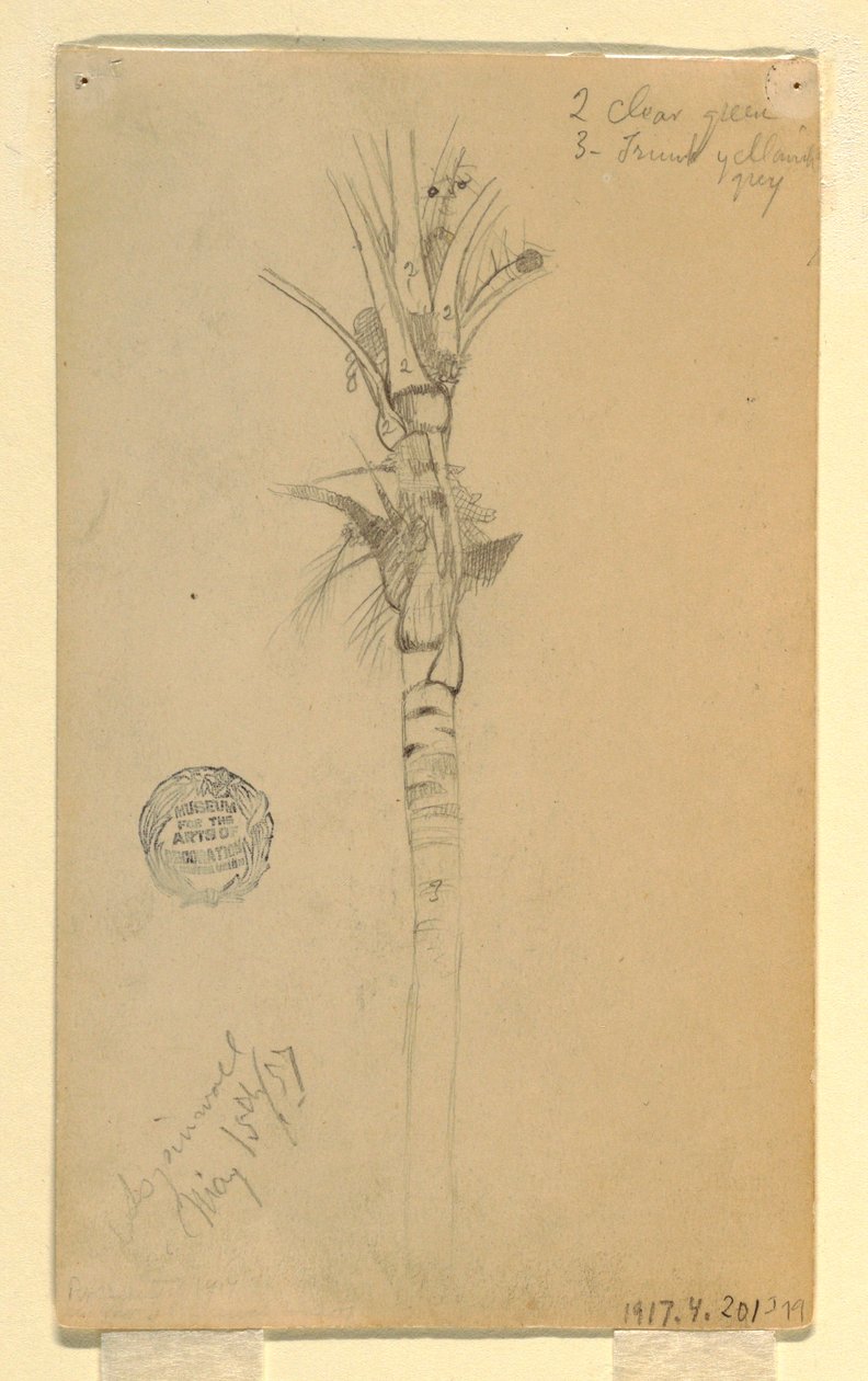 Blätter und Stamm einer Palme, Aspinwall, Panama, 15. Mai 1857 von Frederic Edwin Church
