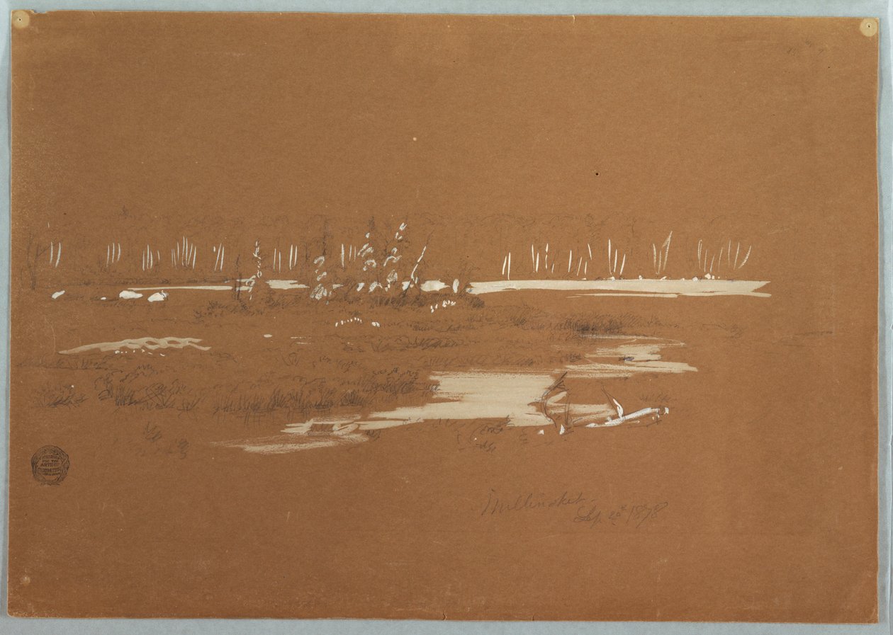 Zeichnung, Sumpfige Landschaft bei Millinocket, 20. September 1878 von Frederic Edwin Church