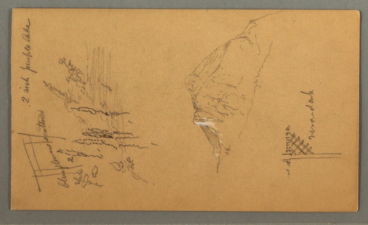Zeichnung, Berggipfel, Vegetation am Teich, 1868 von Frederic Edwin Church