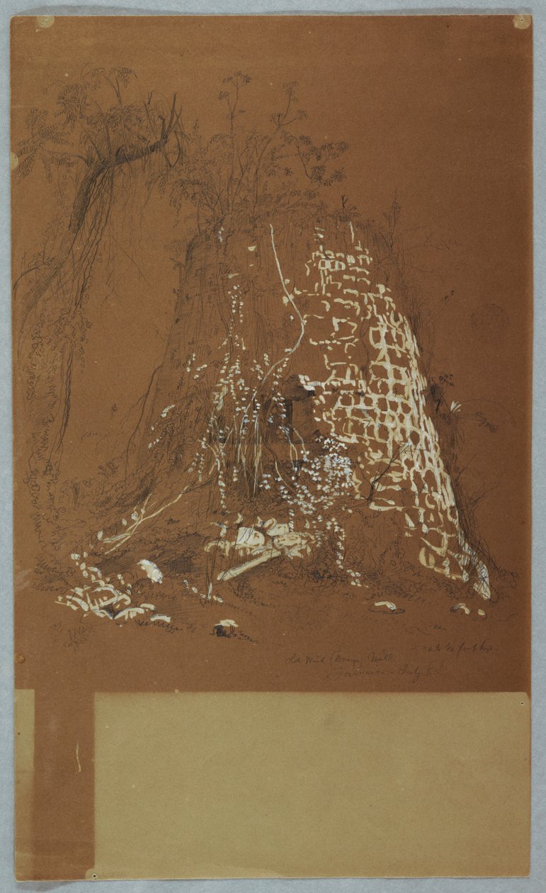 Verfallene alte Windmühle, Jamaika, Juli 1865 von Frederic Edwin Church