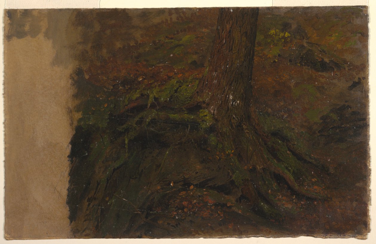 Zeichnung, Studie eines Baumstamms von Frederic Edwin Church