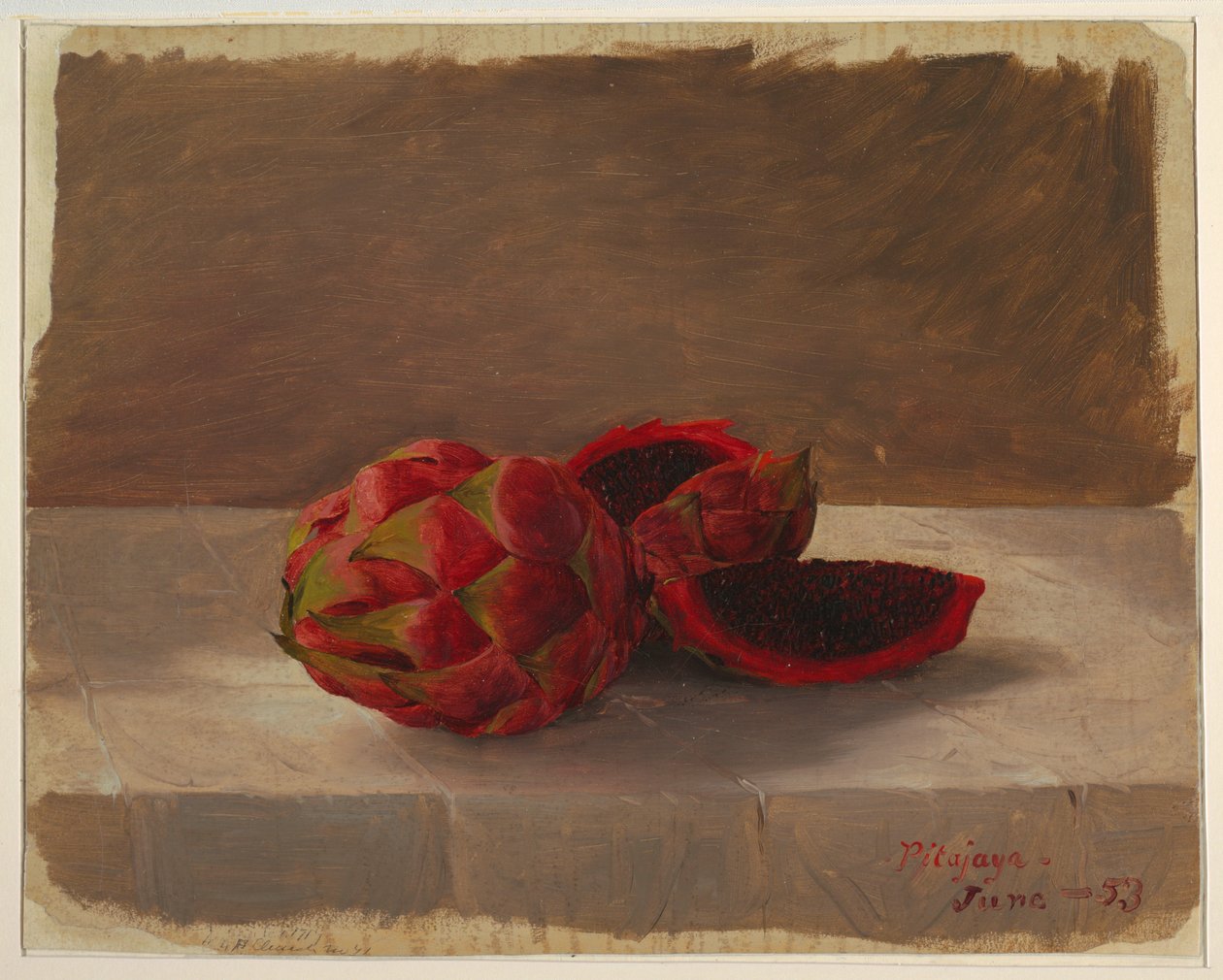 Die Pitajaya-Frucht, Kolumbien, Juni 1853 von Frederic Edwin Church