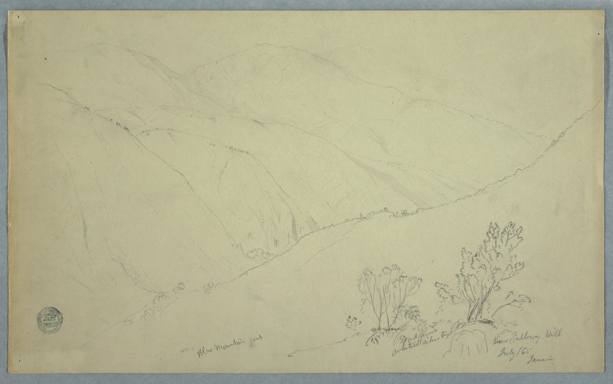 Blick auf den Blue Mountain Peak, gesehen von der Nähe von Salloway Hill, Jamaika, Juli 1865 von Frederic Edwin Church