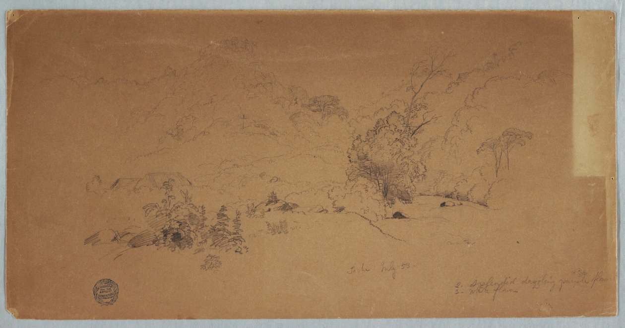 Ansicht von Toche, Kolumbien, Juli 1853 von Frederic Edwin Church