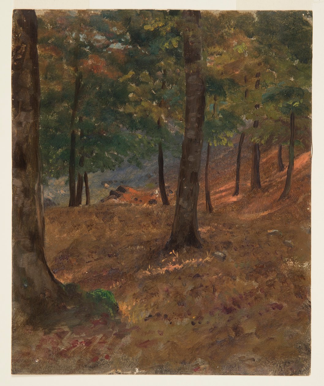 Zeichnung, Waldszene, 1870–80 von Frederic Edwin Church