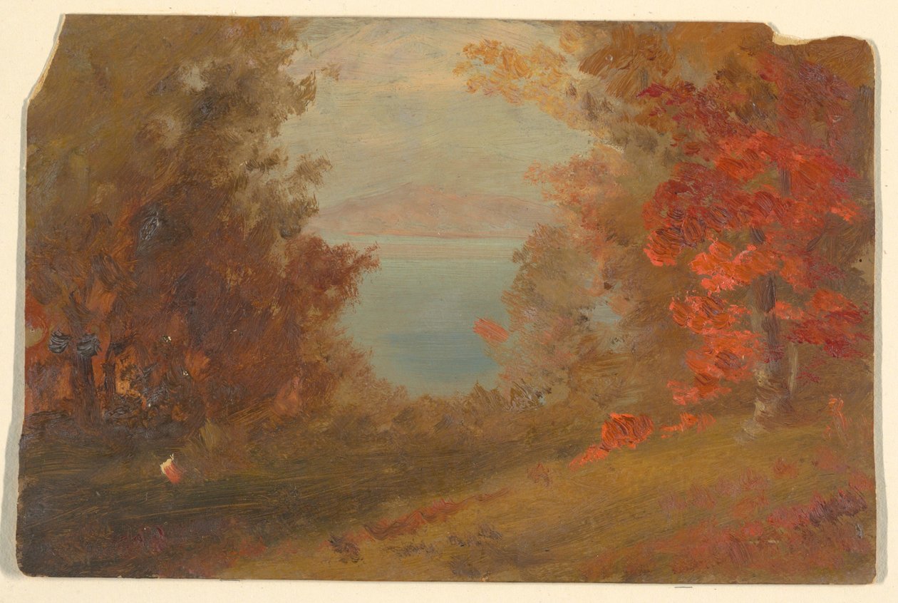Zeichnung, Waldszene im Herbst (Hudson, New York oder Maine), 1860–70 von Frederic Edwin Church